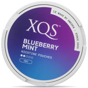 XQS Blueberry Mint Light