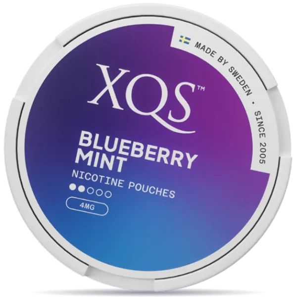 XQS Blueberry Mint Light